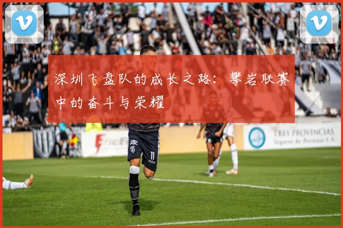 深圳飞盘队的成长之路:攀岩联赛中的奋斗与荣耀