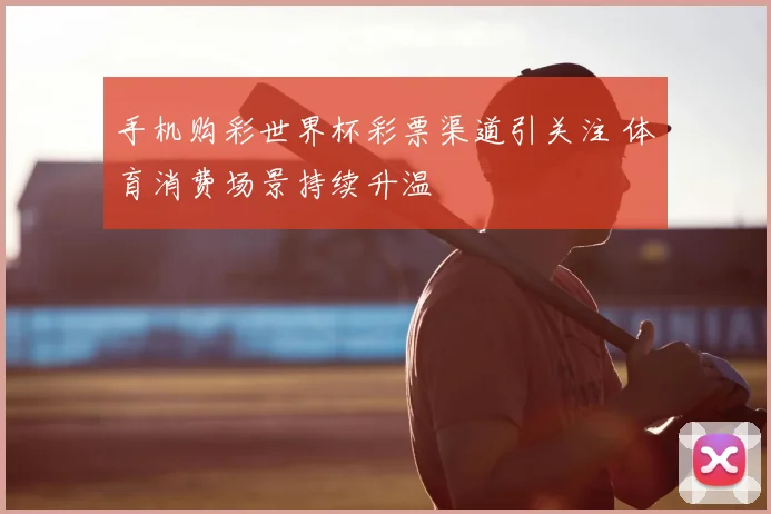 手机购彩世界杯彩票渠道引关注 体育消费场景持续升温