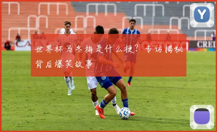 世界杯马冬梅是什么梗?专访揭秘背后爆笑故事