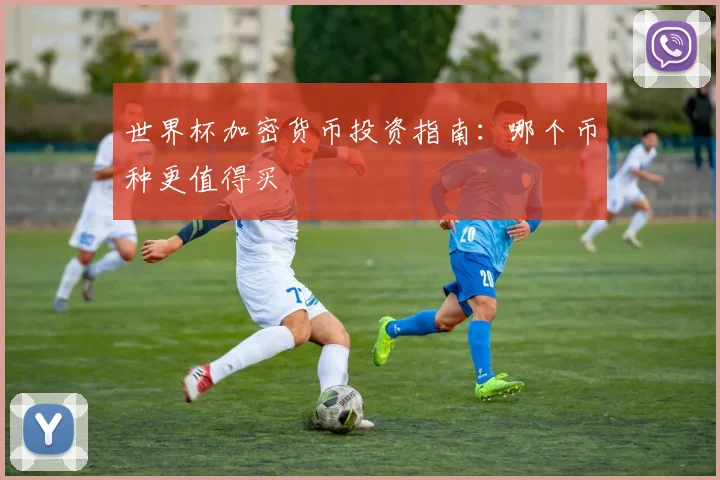 世界杯加密货币投资指南：哪个币种更值得买