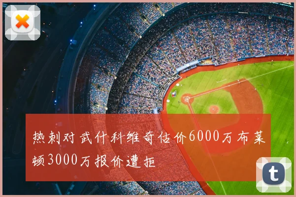 热刺对武什科维奇估价6000万布莱顿3000万报价遭拒