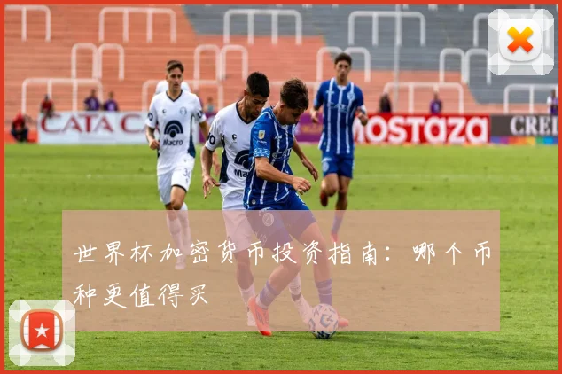 世界杯加密货币投资指南:哪个币种更值得买