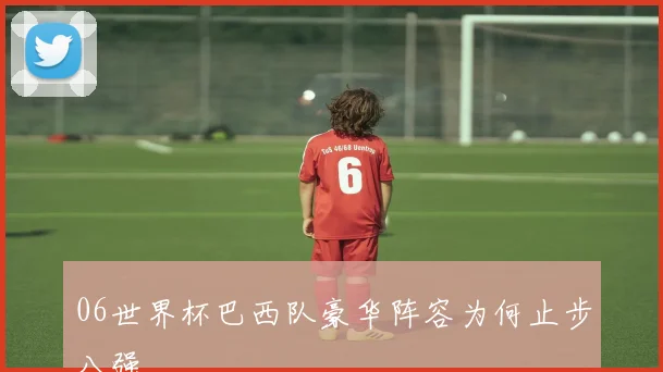06世界杯巴西队豪华阵容为何止步八强