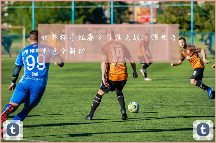 世界杯小组赛今日焦点战：预测与看点全解析