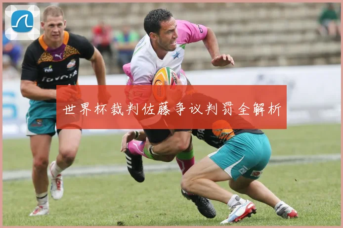 世界杯裁判佐藤争议判罚全解析