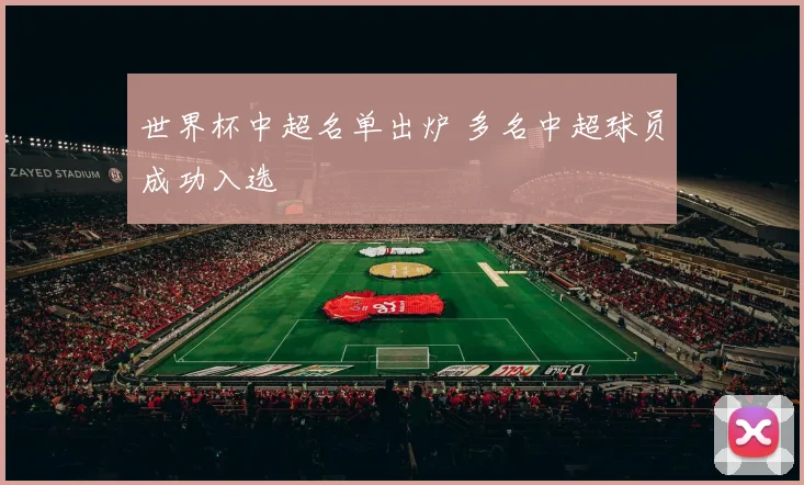 世界杯中超名单出炉 多名中超球员成功入选