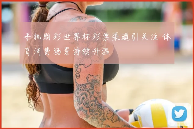 手机购彩世界杯彩票渠道引关注 体育消费场景持续升温