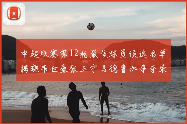 中超联赛第12轮最佳球员候选名单揭晓韦世豪张玉宁马德鲁加争夺荣誉