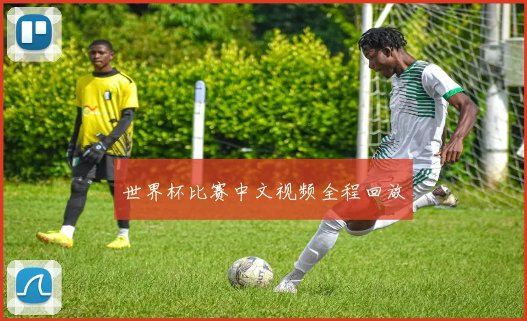 世界杯比赛中文视频全程回放