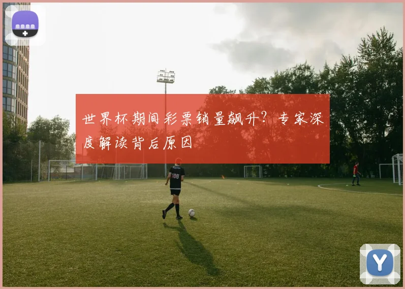 世界杯期间彩票销量飙升?专家深度解读背后原因