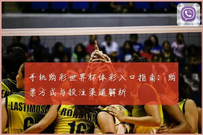手机购彩世界杯体彩入口指南:购票方式与投注渠道解析