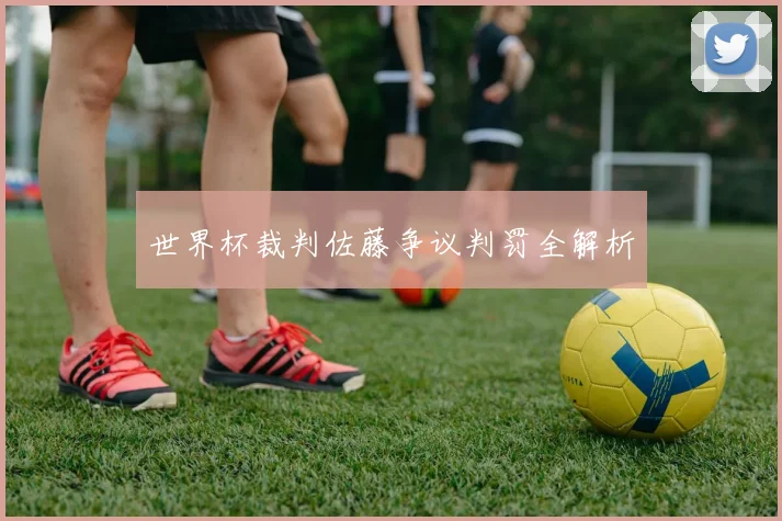 世界杯裁判佐藤争议判罚全解析