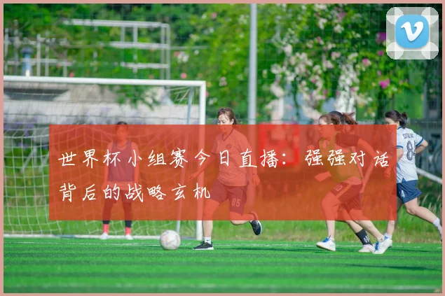 世界杯小组赛今日直播：强强对话背后的战略玄机